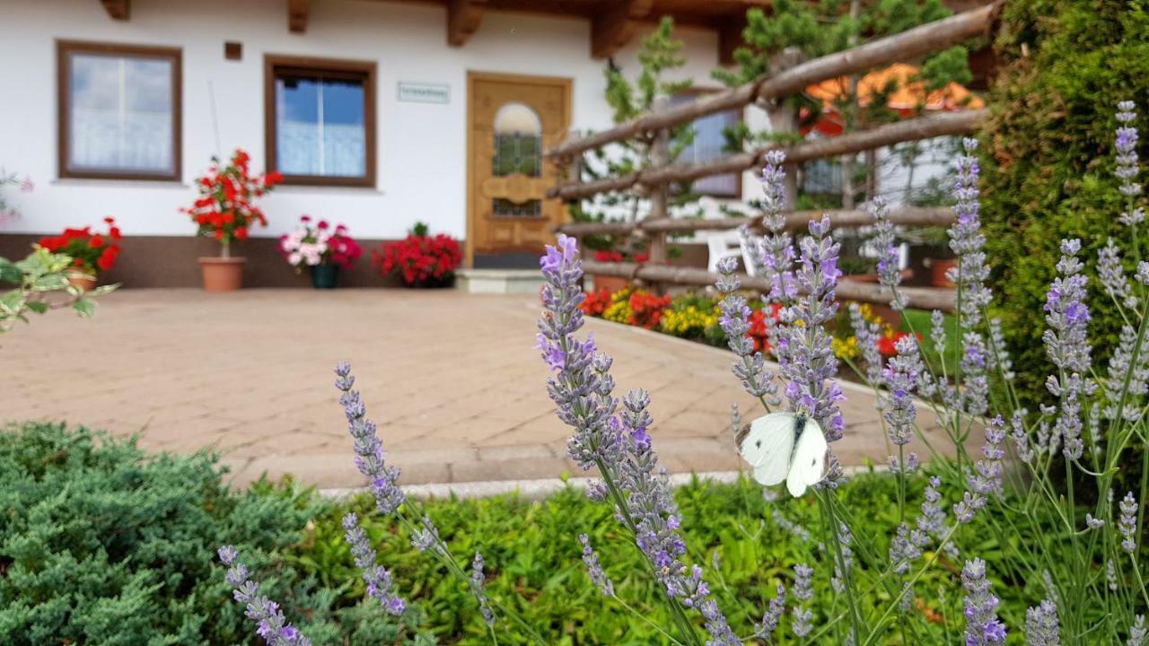 Haus Jeannette Apartment Zellberg Exterior foto